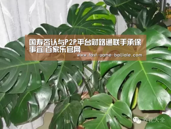 国寿否认与P2P平台财路通联手承保事宜|百家乐官网(图1) 澳门百家乐网站